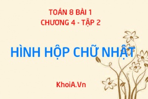 Hình hộp chữ nhật là hình như thế nào? có bao nhiêu cạnh? đường thẳng và mặt phẳng - Toán 8 bài 1 chương 4 tập 2